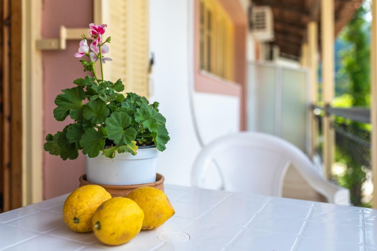 Anthi Studios & Apartments Аликес Экстерьер фото